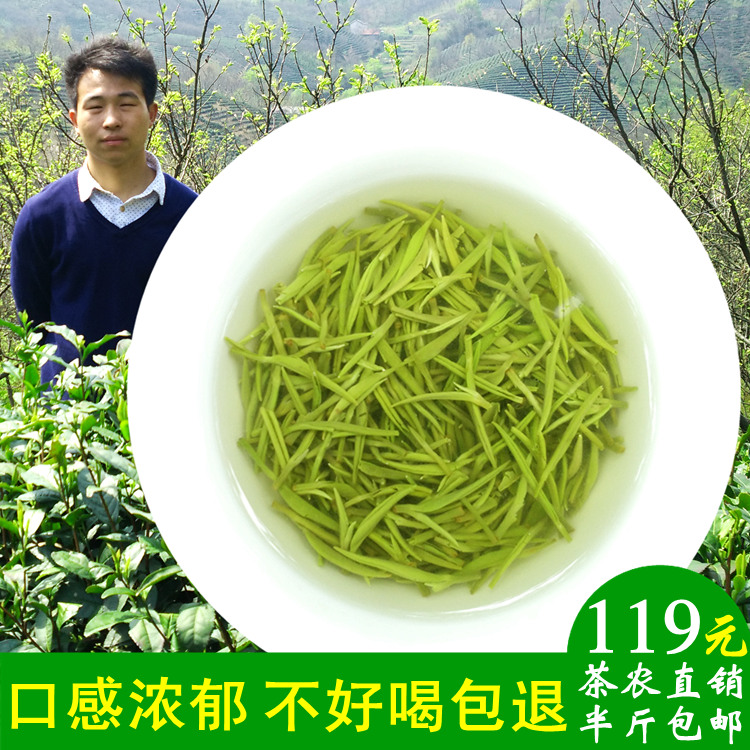 信阳毛尖2015年新茶叶绿茶谷雨特级嫩芽自产自销高山春茶250g包邮
