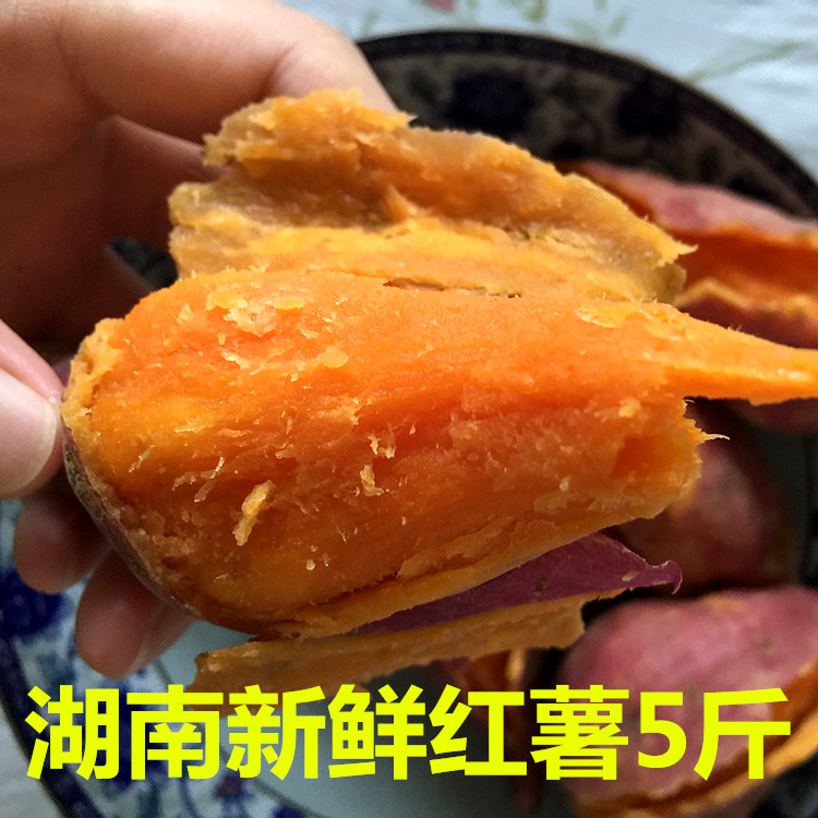 【天天特价】湖南红薯新鲜黄心地瓜农家红薯香番薯山芋蔬菜5斤装
