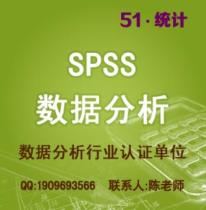 SPSS 数据分析服务  本科硕士博士论文数据分析 问卷调查