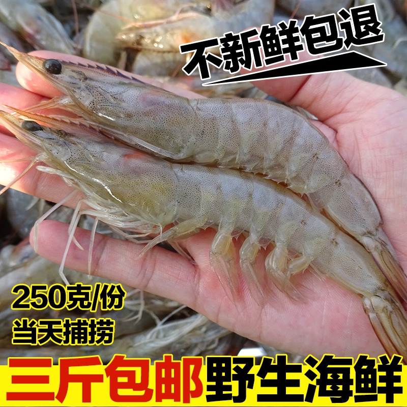 寻鲜之旅自家海捕野生基围虾新鲜东方虾冷冻青虾对虾海虾海鲜250g
