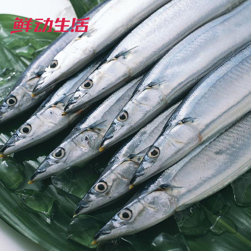 【鲜动生活】浙江舟山秋刀鱼500g 烧烤用鱼新鲜国产特色秋刀鱼