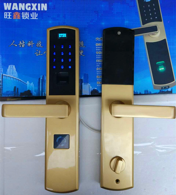 智能指纹密码锁家用防盗智能锁手机APP开锁防盗门锁语音电子锁