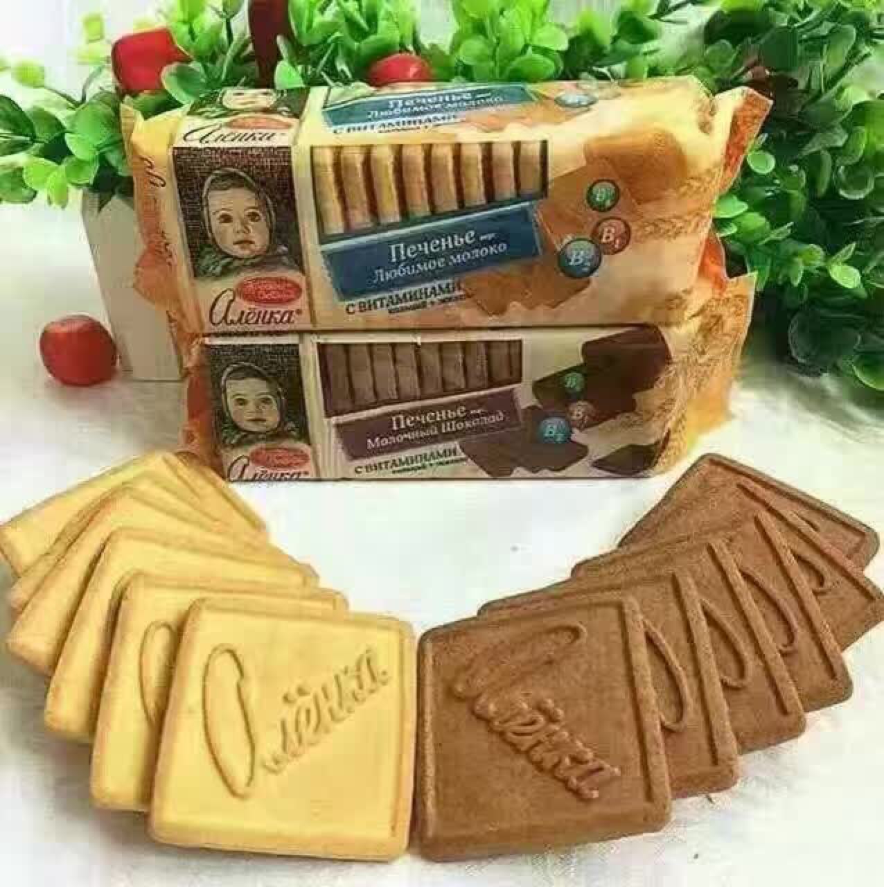 俄罗斯进口零食阿伦卡大头娃娃多种维生素巧克力牛奶口味饼干早餐