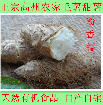 5斤包邮2016年广东高州新鲜毛薯 甜薯猪仔薯粉香薯现挖现发特价