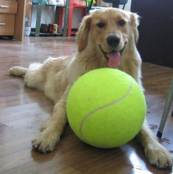 大网球签名24cm充气网球节日活动礼品宠物网球 9.5寸宠物啃咬玩具