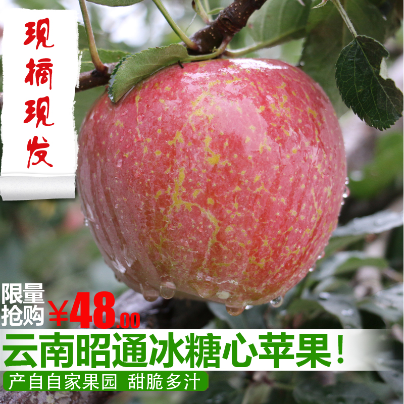现摘云南昭通苹果冰糖心丑苹果水果红富士苹果 新鲜水果 10斤包邮