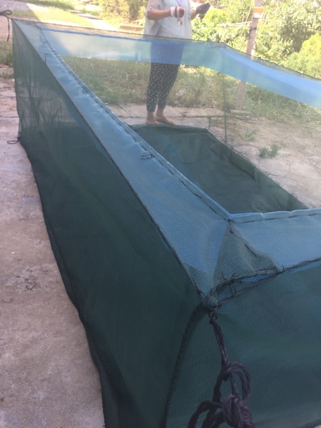 螃蟹渔网定做批发龙虾泥鳅厚七角布暂养网箱2米长3米宽聚乙烯网