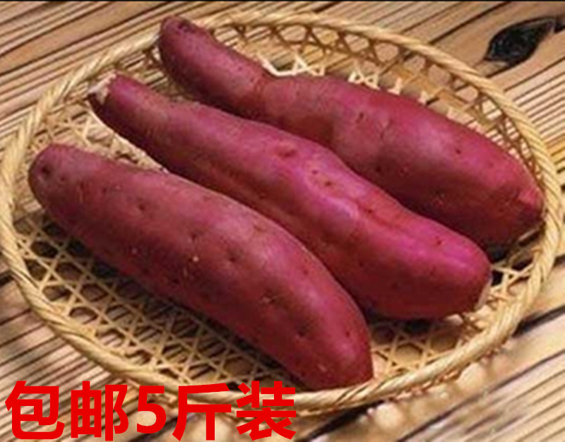 湖南新鲜黄心甜薯番薯  农家生地瓜大小山芋紫心紫薯香薯5斤包邮