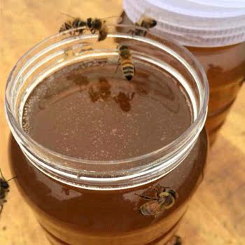 纯天然蜂蜜农家土蜂蜜大山野蜂蜜龙眼蜜桂圆蜜原生态春蜜