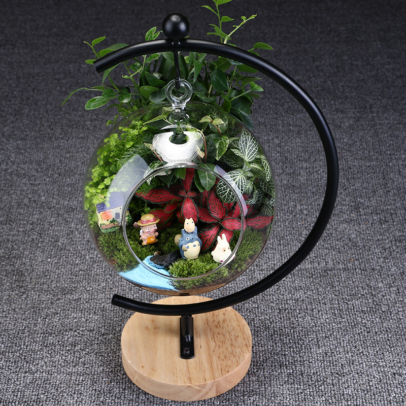 苔藓微景观生态瓶办公室植物创意迷你盆栽微缩景观龙猫摆件